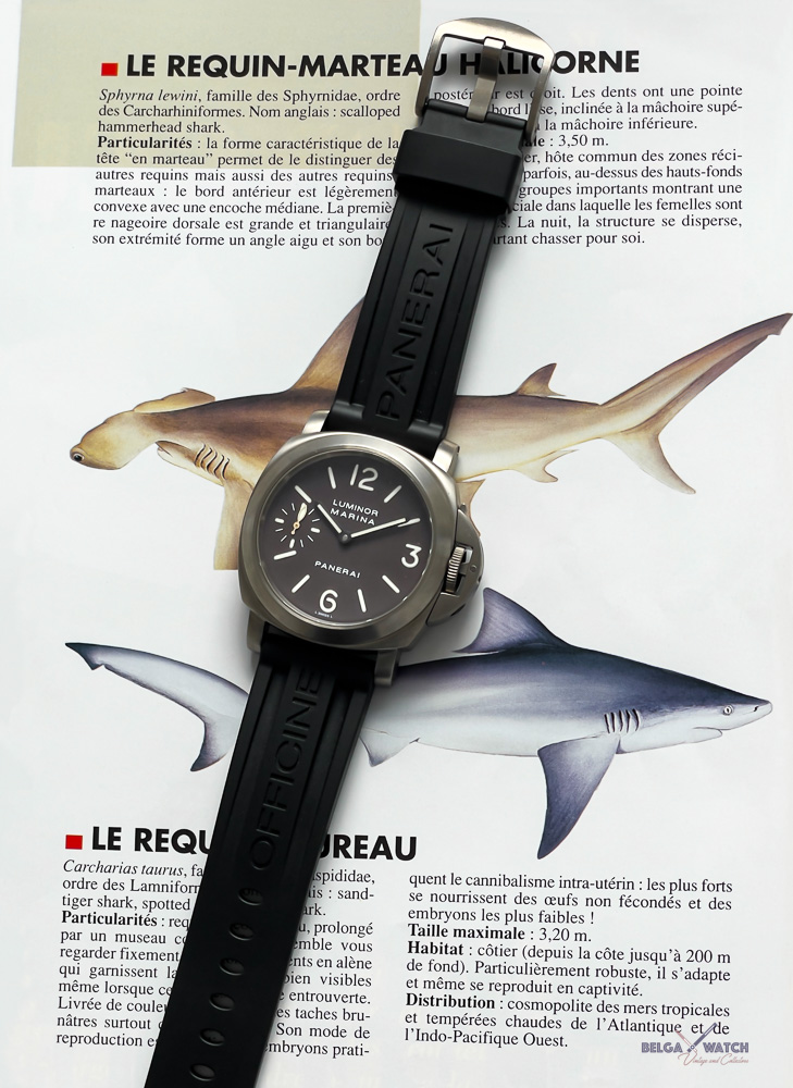 Luminor "Brown dial" - Image 3